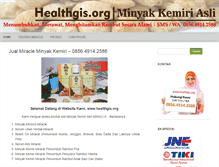 Tablet Screenshot of healthgis.org